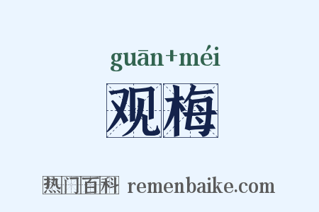 观梅是什么意思的图片